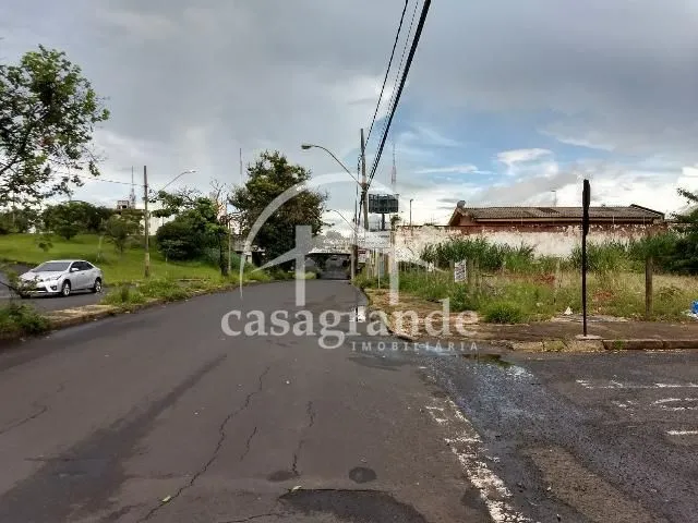 Imagem 3