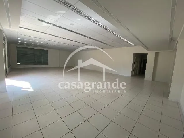 Imagem 5