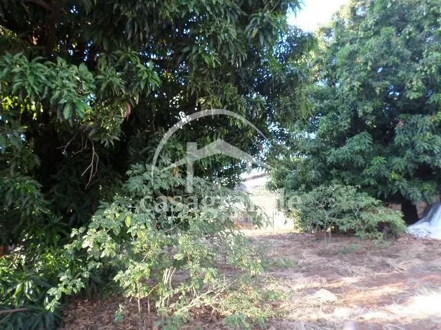 Imagem 3