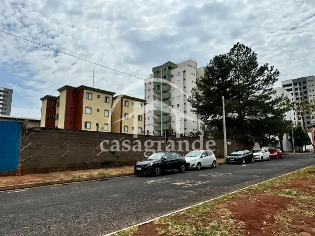 Imagem 6