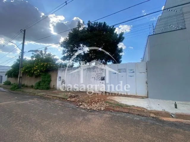 Imagem 6