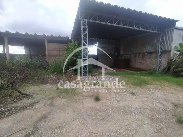 Imagem 6