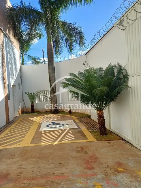 Imagem 7
