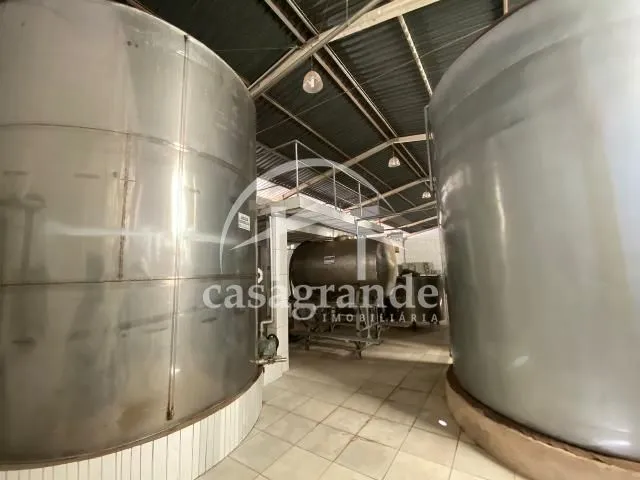 Imagem 3