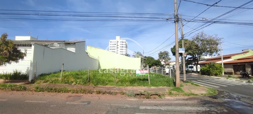 Imagem 14