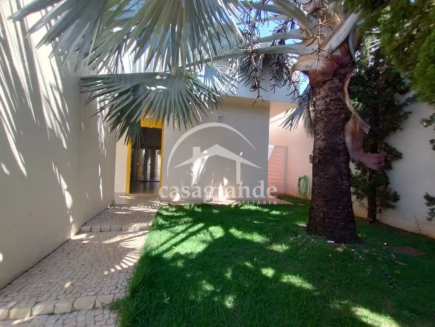 Imagem 11
