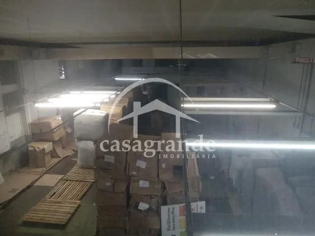 Imagem 5