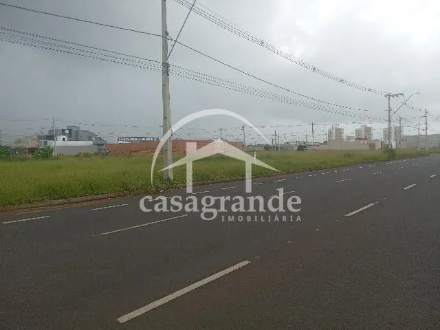 Imagem 12