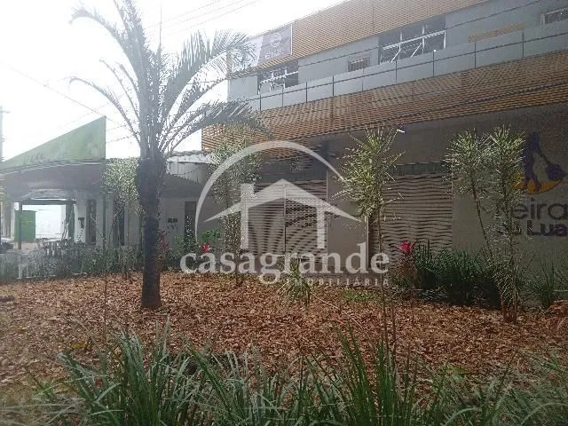 Imagem 8
