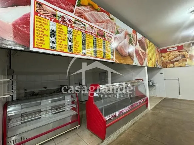 Imagem 8