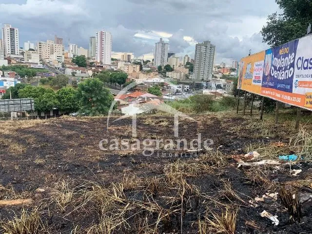 Imagem 3