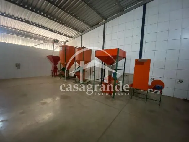 Imagem 13