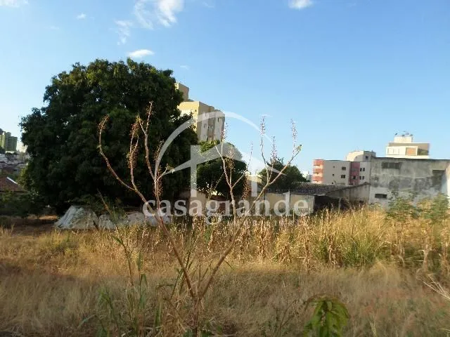 Imagem 2
