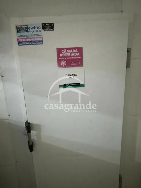 Imagem 11