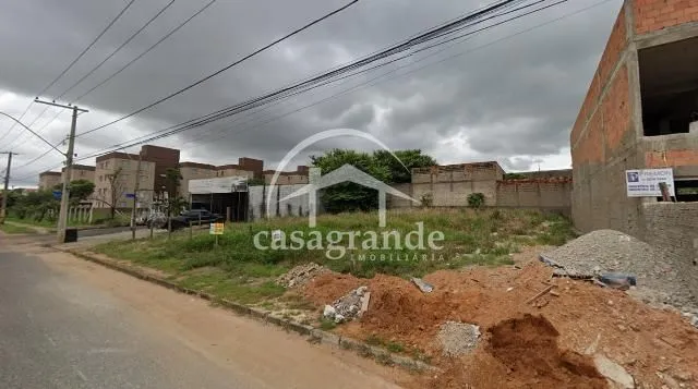 Imagem 6