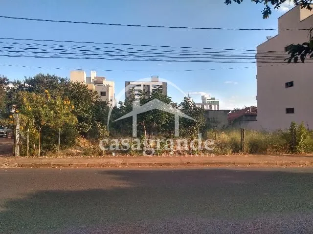 Imagem 5