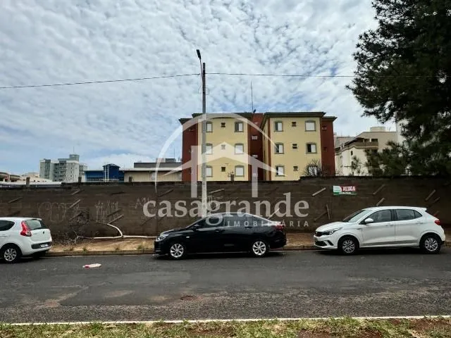 Imagem 7