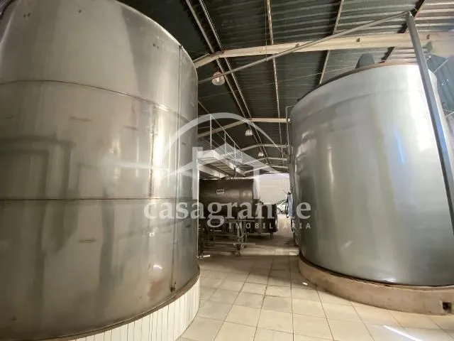 Imagem 6