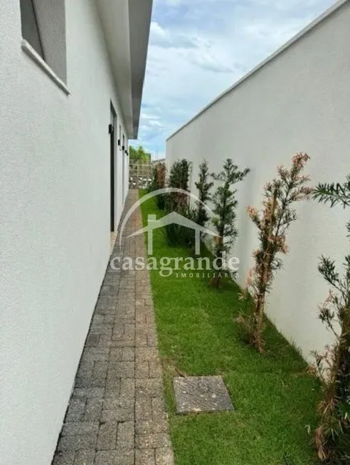 Imagem 5