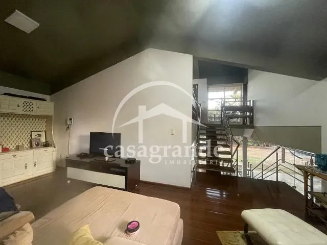 Imagem 21