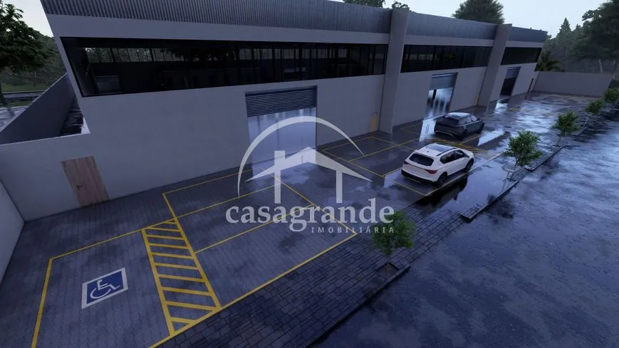 Imagem 5