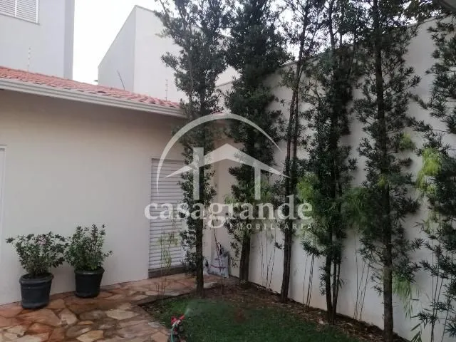 Imagem 21