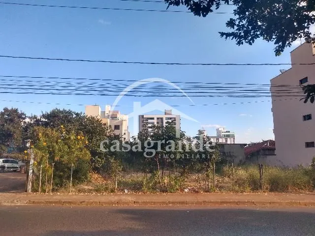 Imagem 4