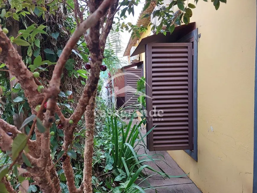 Imagem 6