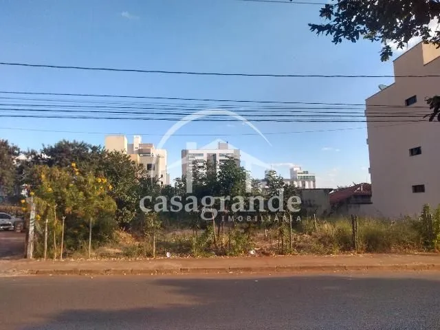 Imagem 3
