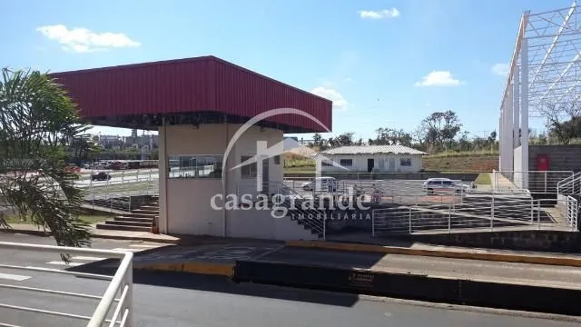 Imagem 9