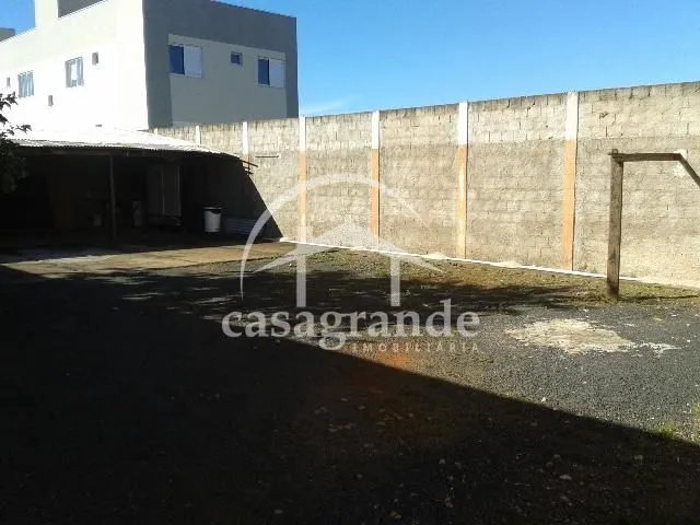Imagem 11