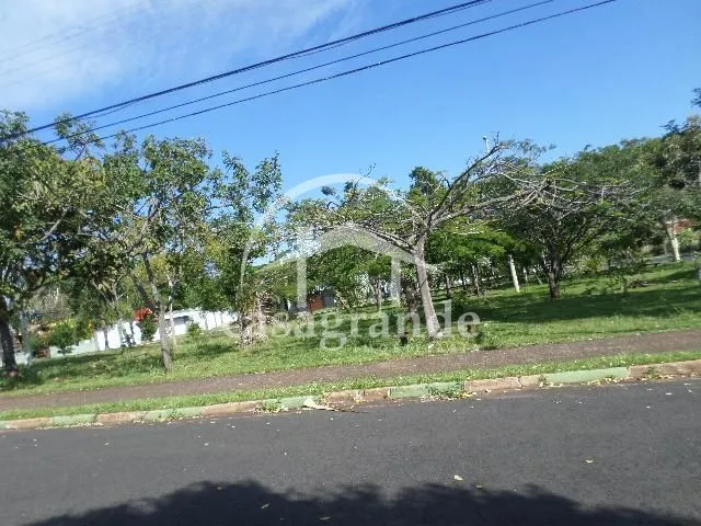 Imagem 4