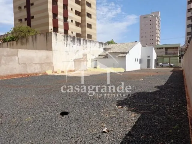 Imagem 7