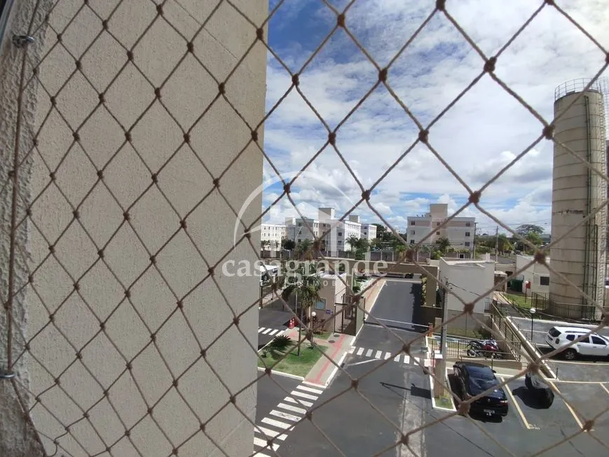 Imagem 20