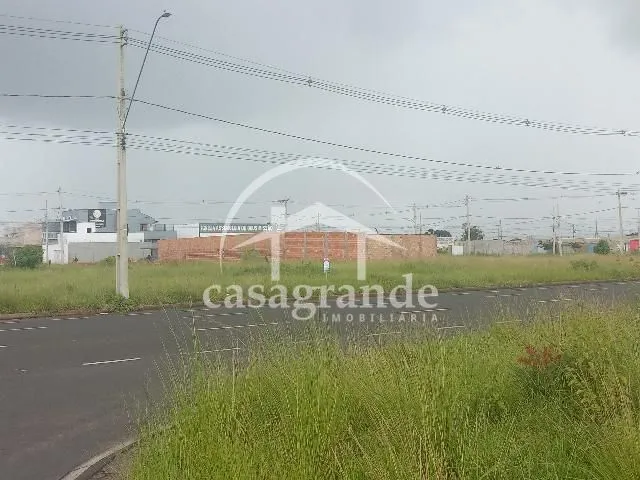 Imagem 9