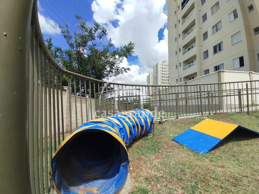 Imagem 16