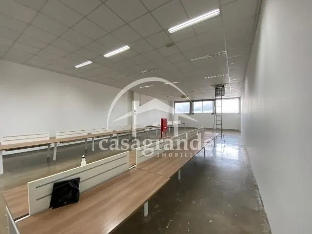 Imagem 3