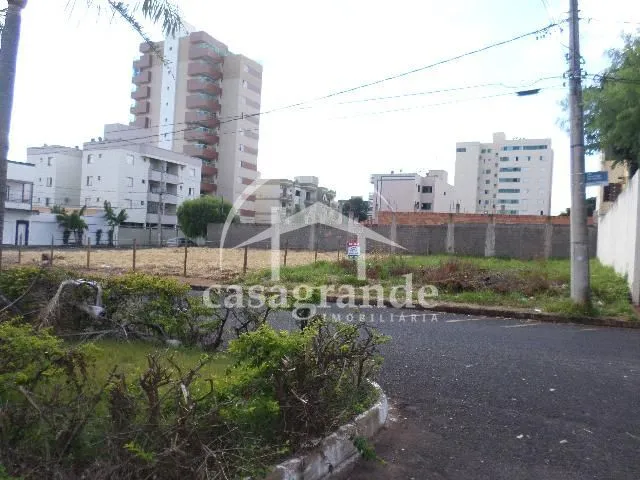 Imagem 4