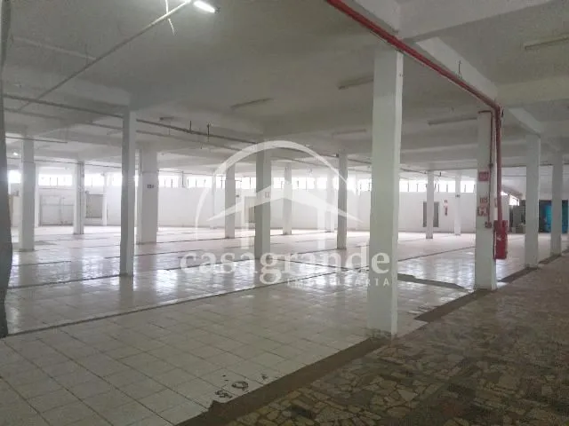 Imagem 6