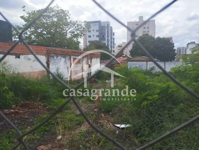 Imagem 3