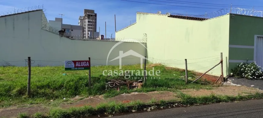Imagem 8