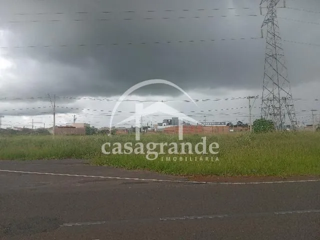 Imagem 5