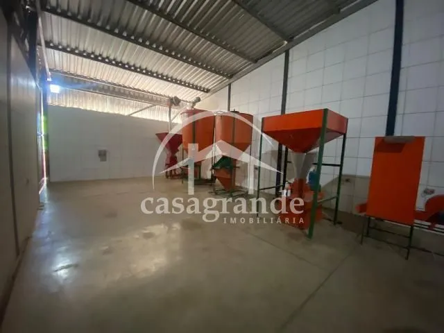 Imagem 10