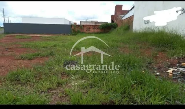Imagem 3