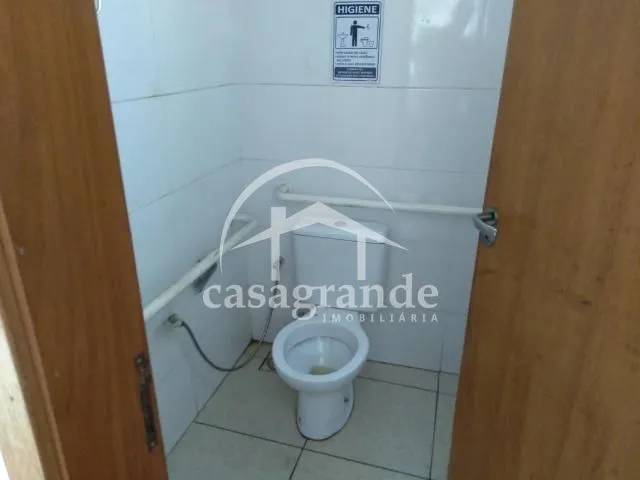 Imagem 11