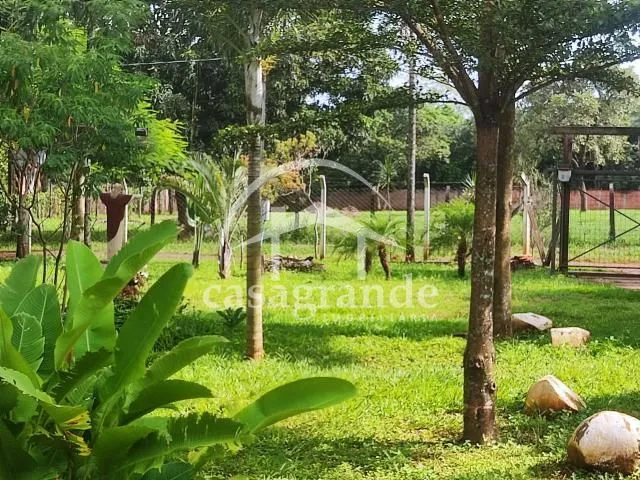Imagem 3