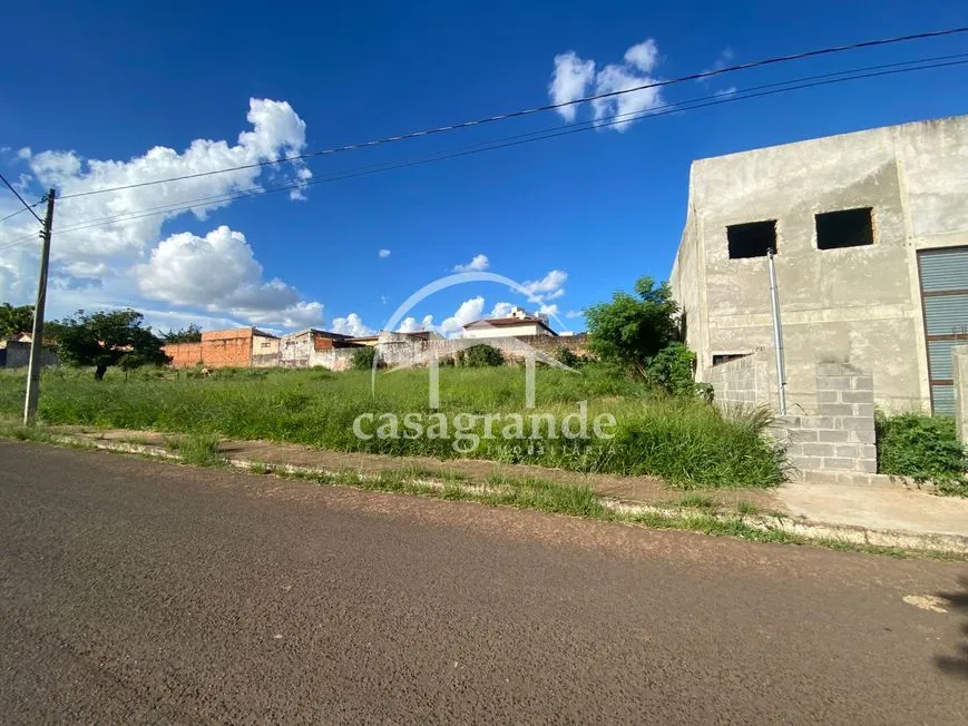 Imagem 3