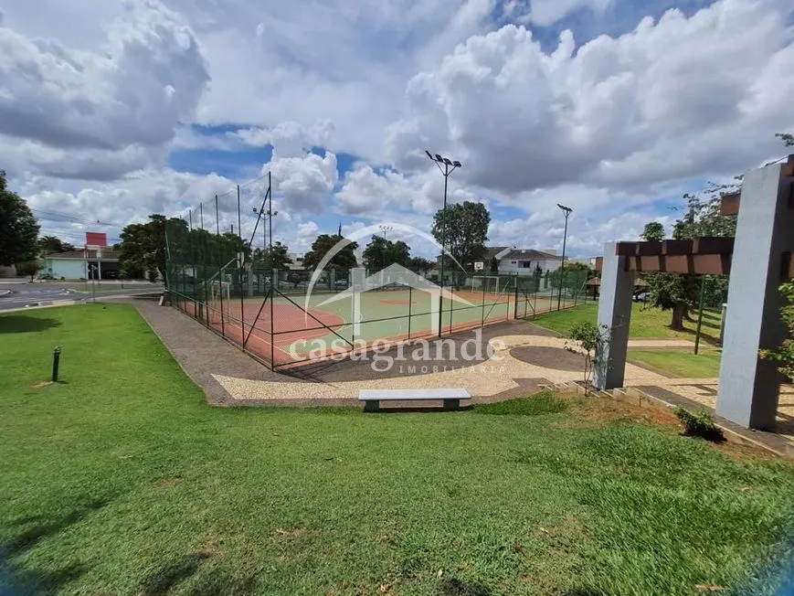 Imagem 7
