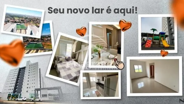 Imagem 13