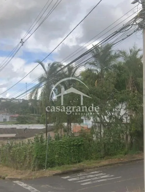 Imagem 10